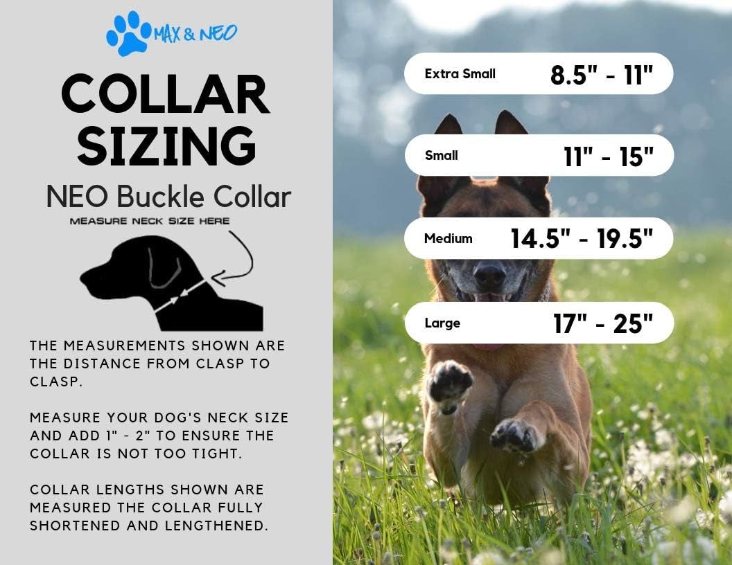 NEO Nylon Buckle Reflective Dog Collar - We Donate a Collar to a Dog Rescue for Every Collar Sold (Medium, Pink)